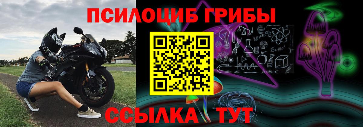 Татарск  Псилоцибиновые грибы Magic Shrooms  Вход с VPN 